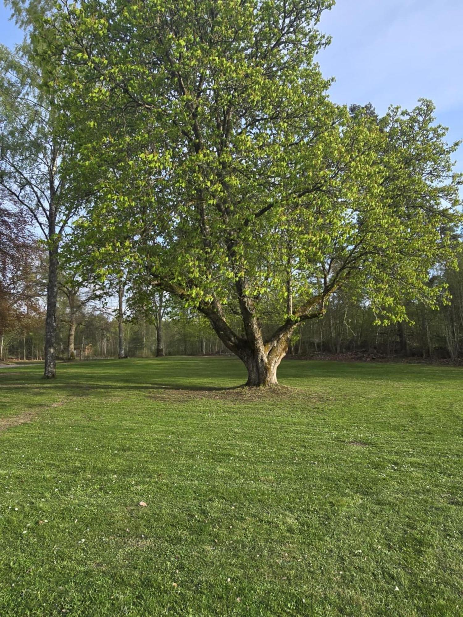Stora Ekeberg Vandrarhem Axvall Экстерьер фото